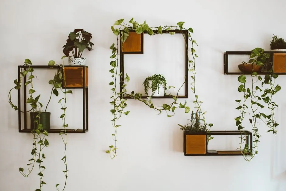 wall-mounted shelves above bed headboard with minimal decor
