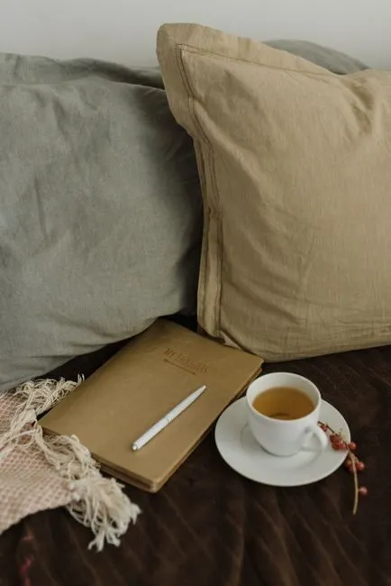 natural linen sofa in earth tones with bamboo fiber cushions