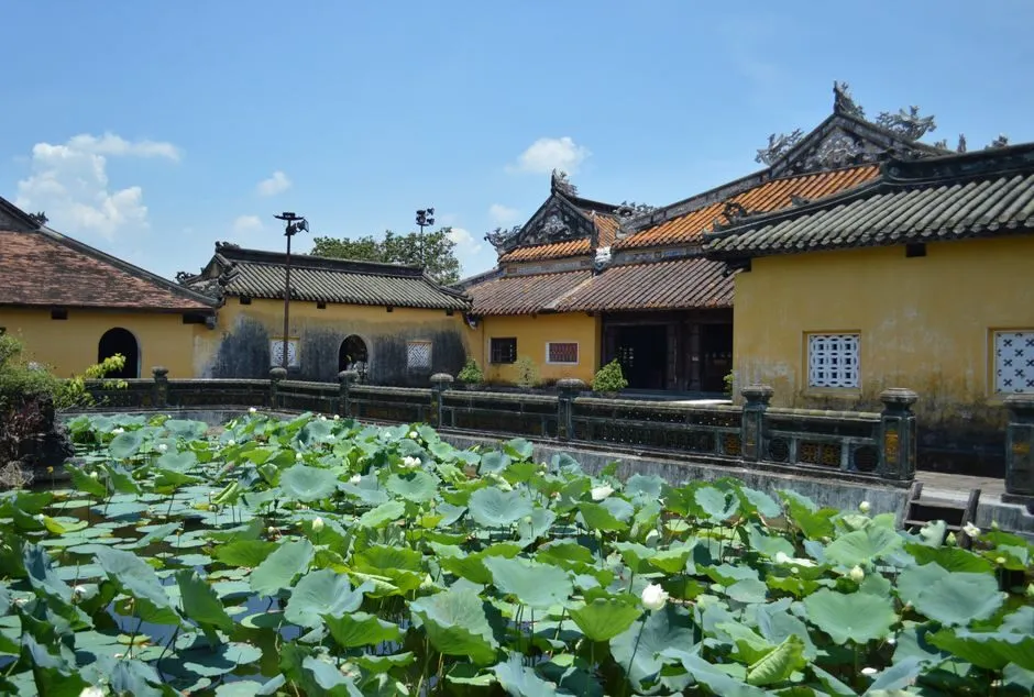 Bức tranh kính nội thất hoa sen mang phong cách nghệ thuật đương đại hiện đại